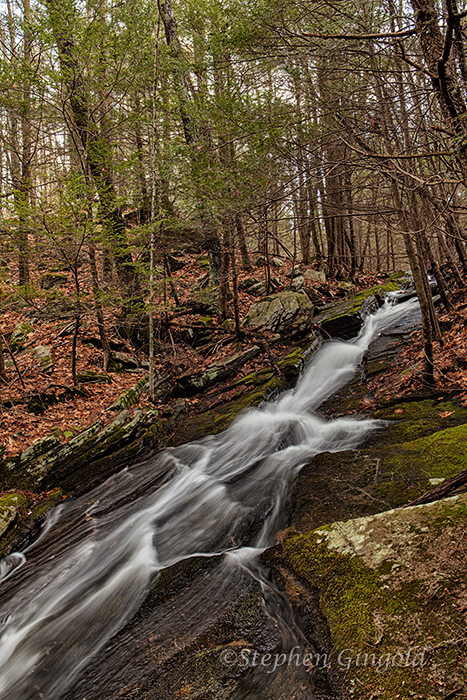 Cave-Hill-Waterfall-041115-700Web